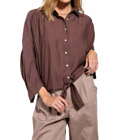 Easel Crinkled Button Down Shirt In Espresso In Brown