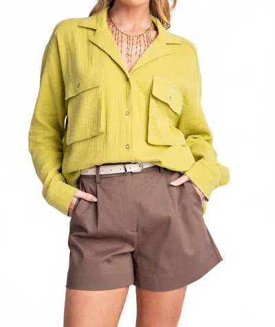 Easel Embroidered Cotton Gauze Top - Plus In Matcha Latte In Multi