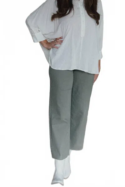 Easel Take The High Road Twill Pants In Lived In Olive In Gray