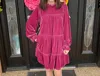 Easel Velvet Dress In Cranberry