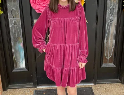 Easel Velvet Dress In Cranberry