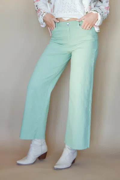 Easel Wide Glide Wide Leg Twill Pants In Sage
