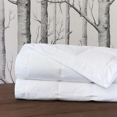 Eastern Accents Antioch Faux Down Blanket In White