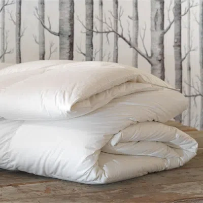 Eastern Accents Celesta Luxe Down Comforter - Light In White