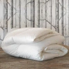 Eastern Accents Celesta Luxe Down Comforter - Medium In White