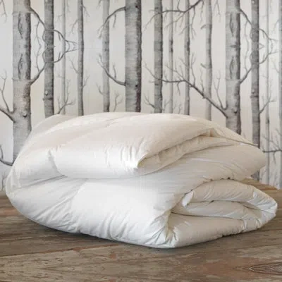 Eastern Accents Celesta Luxe Down Comforter - Medium In White