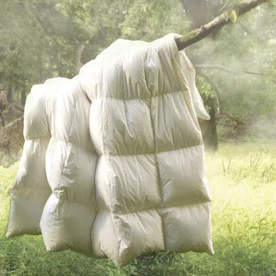 Eastern Accents Concerto Premier Down Comforter - Deluxe In White