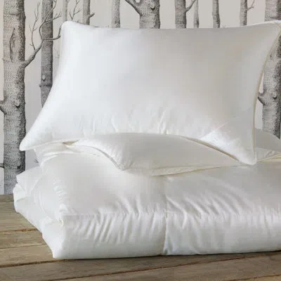 Eastern Accents Libretto Prestige Down Comforter In White