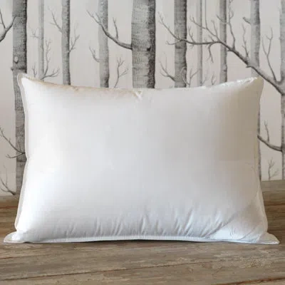 Eastern Accents Libretto Prestige Down Plush Support Pillow In White