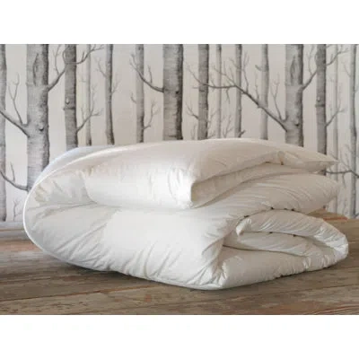 Eastern Accents Loure Faux Down Comforter - Deluxe In White