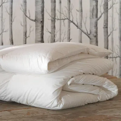 Eastern Accents Loure Faux Down Comforter - Light In White
