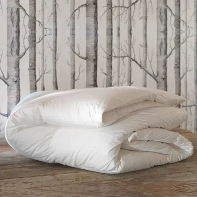 Eastern Accents Loure Faux Down Comforter - Medium In White