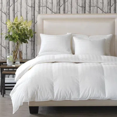 Eastern Accents Rhapsody Luxe Down Comforter - Deluxe In White