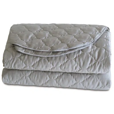 Eastern Accents Viola Single Coverlet / Bedspread In Dove