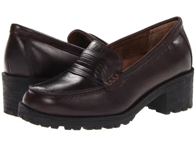 Eastland 1955 Edition Newbury In Brown