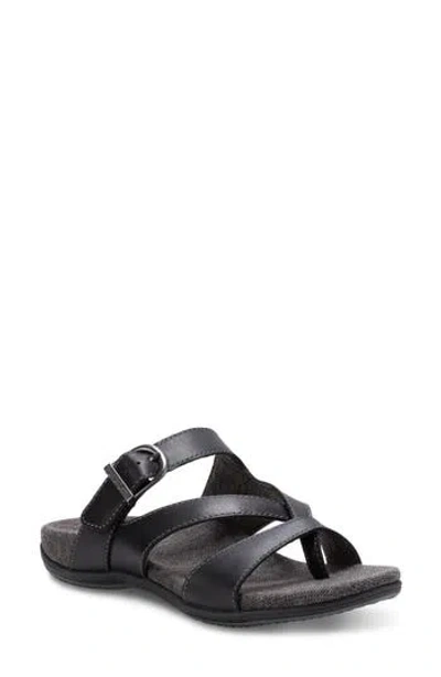 Eastland Bar Harbour Sandal In Black