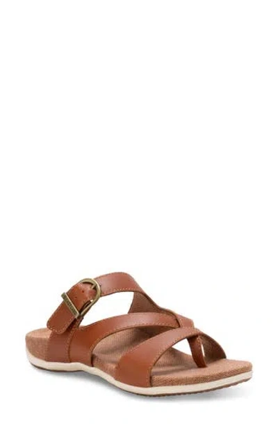 Eastland Bar Harbour Sandal In Brown