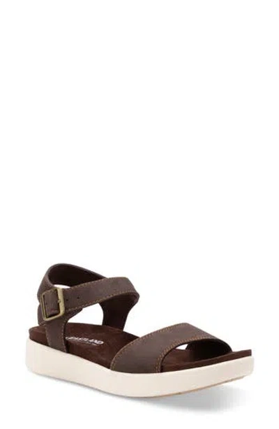 Eastland Longwood Ankle Strap Sandal In Brown
