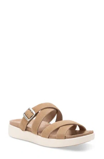Eastland Machias Buckle Sandal