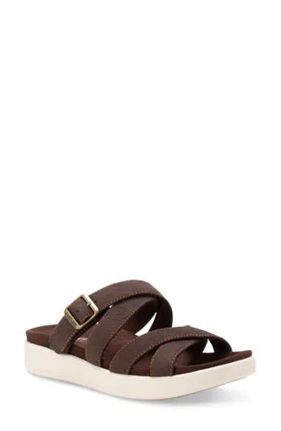 Eastland Machias Buckle Sandal In Brown