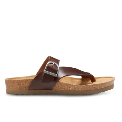 Eastland Women's Shauna Thong Sandal In Dark Walnut In Brown