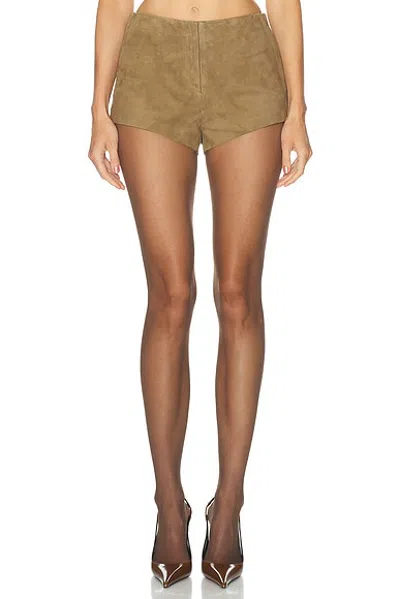 Eaves Johann Hot Short In Brown