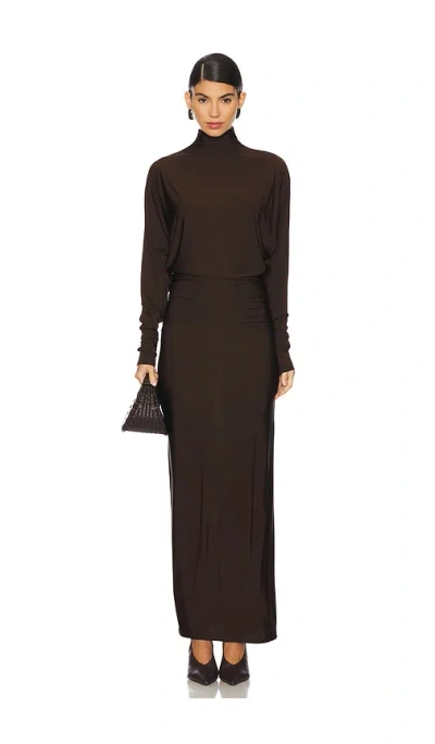 Eaves Shir Dress In Brown