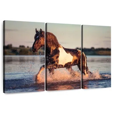 Ebern Designs Appaloosa Horse In Water In Yellow