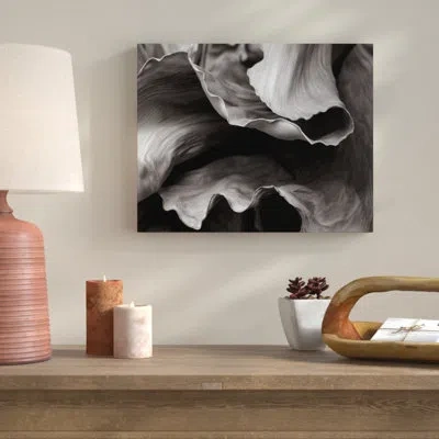 Ebern Designs 'banana Plant' - Wrapped Canvas Graphic Art Print In Black;white