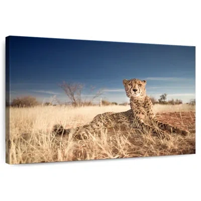 Ebern Designs Brampt Alert Cheetah In Brown