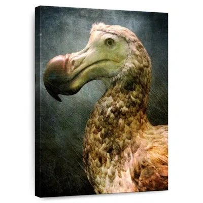 Ebern Designs Brampt Beautiful Dodo Bird In Gray