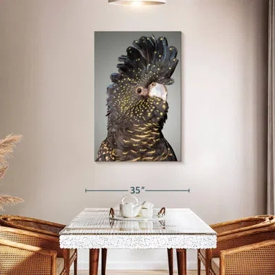 Ebern Designs Brampt Black Cockatoo Head In Gray