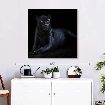 Ebern Designs Brampt Black Jaguar