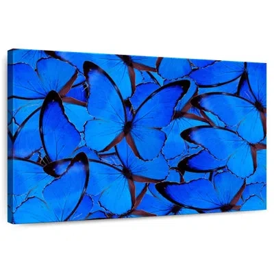 Ebern Designs Brampt Blue Butterflies