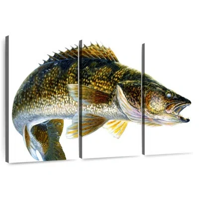 Ebern Designs Brampt Break Line Walleye In Brown