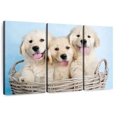Ebern Designs Brampt Buffy Biskit And Beau In Blue