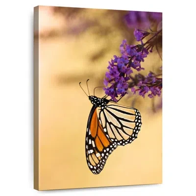 Ebern Designs Brampt Butterfly Kissing Lavender In Orange