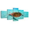 Ebern Designs Brampt Cancun Beach Turtle