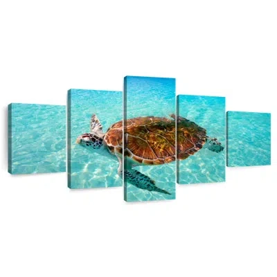 Ebern Designs Brampt Cancun Beach Turtle
