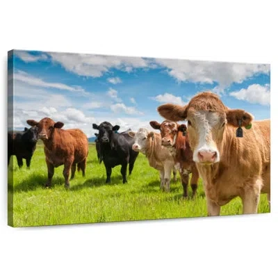 Ebern Designs Brampt Candid Highland Cows In Brown