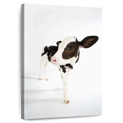 Ebern Designs Brampt Charming Baby Cow In Brown