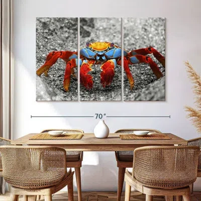 Ebern Designs Brampt Colorful Galapagos Crab Pop In Gray