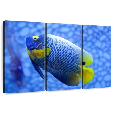 Ebern Designs Brampt Coral Blue Angelfish