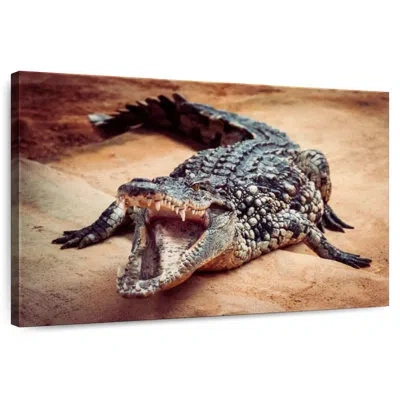 Ebern Designs Brampt Crocodile