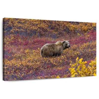 Ebern Designs Brampt Denali Grizzly Bear