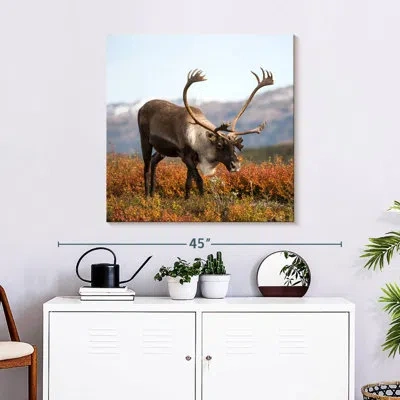 Ebern Designs Brampt Denali Reindeer In Brown