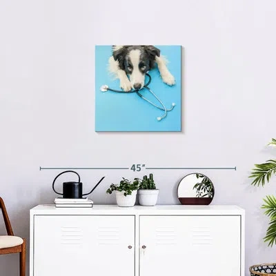 Ebern Designs Brampt Dog Doctor