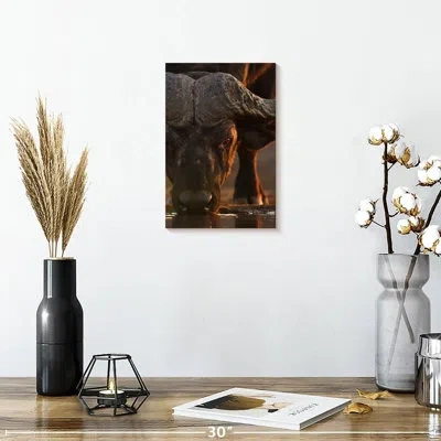 Ebern Designs Brampt Drinking Cape Buffalo In Brown