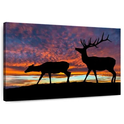 Ebern Designs Brampt Elk Sunset Silhouette In Black
