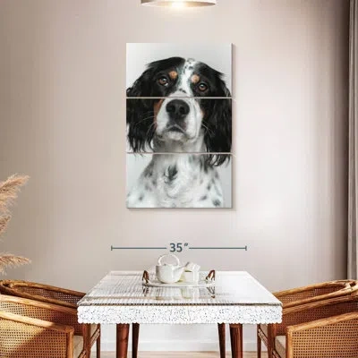 Ebern Designs Brampt English Setter Dog